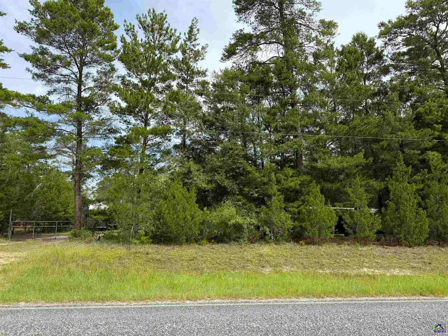Lot 9 Hortman Mill Road, Roberta, GA 31078 - #3