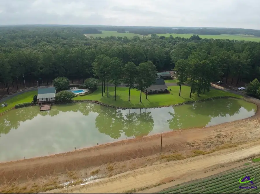 85 Antioch Church Road, Hawkinsville, GA 31036 - #2