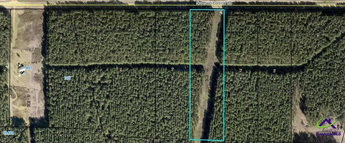 N County Line Rd, Unadilla, GA 31091 - #1