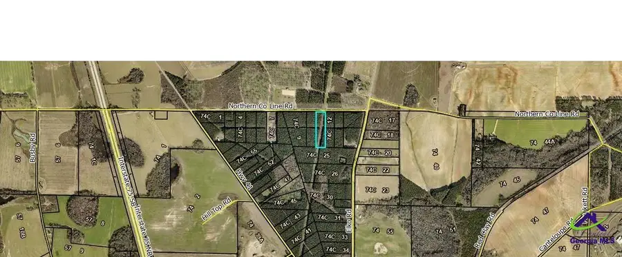 N County Line Rd, Unadilla, GA 31091 - #2