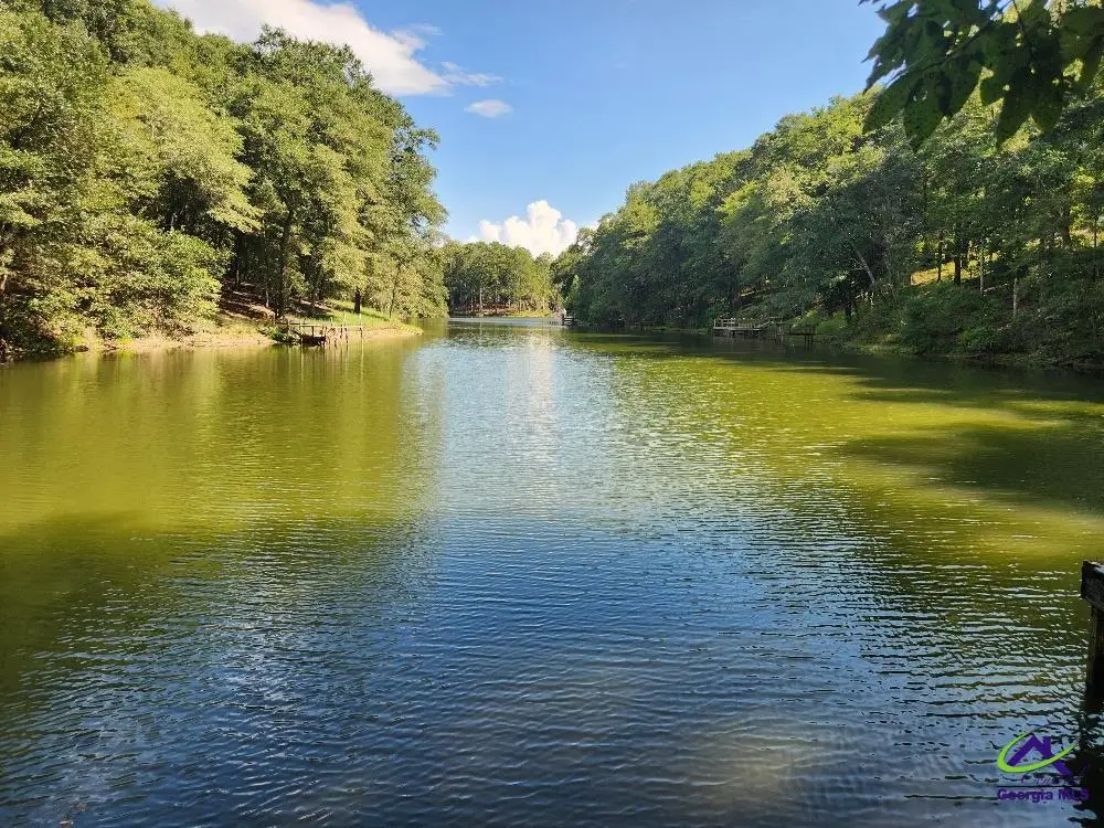 0 Lake Susie Road, Hawkinsville, GA 31036 - #1