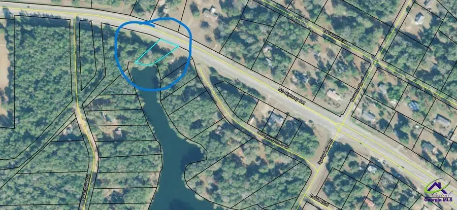 0 Lake Susie Road, Hawkinsville, GA 31036 - #2