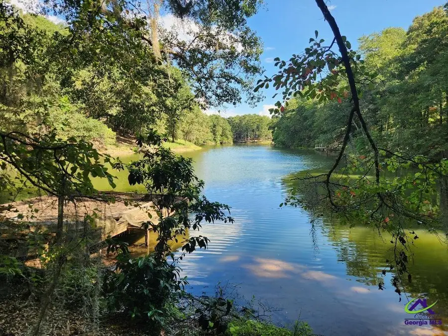 0 Lake Susie Road, Hawkinsville, GA 31036 - #3