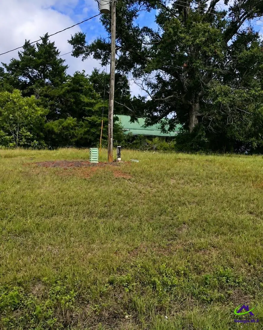 8827 Highway 1, Louisville, GA 30434 - #3