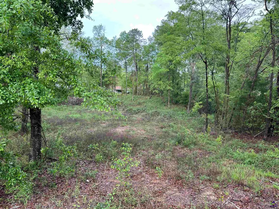 7515 Goodall Mill Road, Macon, GA 31216 - #2