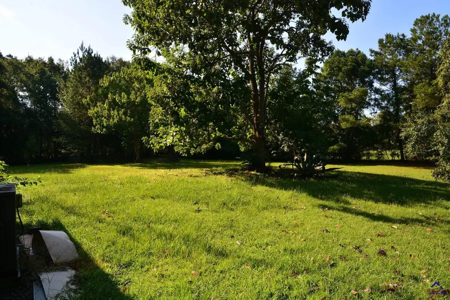 118 Thunder, Hawkinsville, GA 31036 - #2