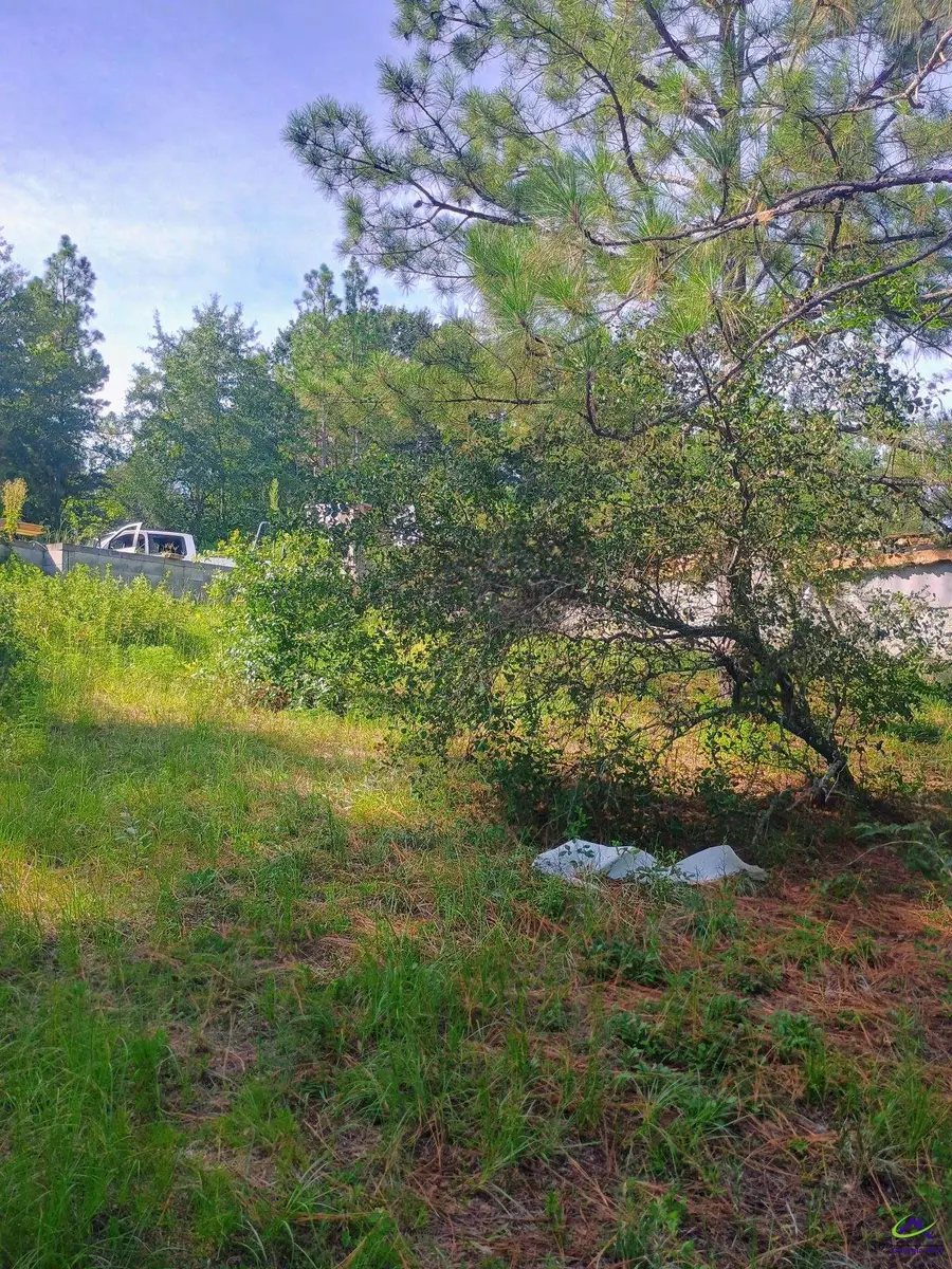 322 Wellington Drive, Byron, GA 31008 - #2