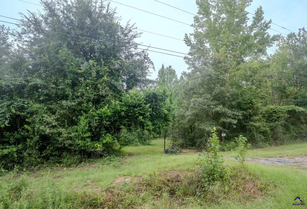 3825 Masseyville Road, Macon, GA 31217 - #1