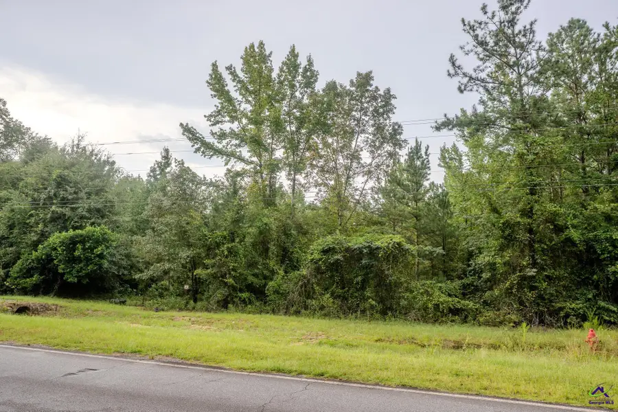3825 Masseyville Road, Macon, GA 31217 - #2