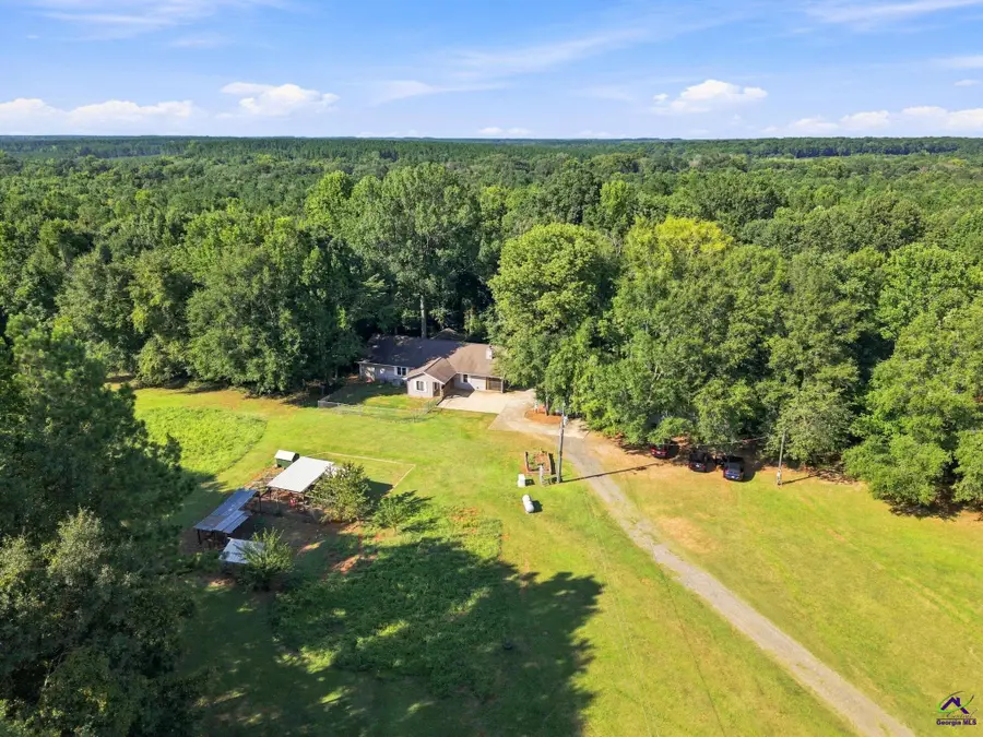 1116 County Line Road, Unadilla, GA 31091 - #3