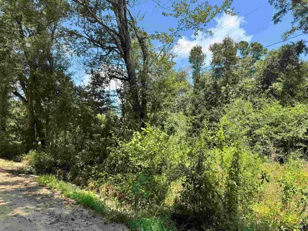 000 Shady Lane Road, Other, GA 31783