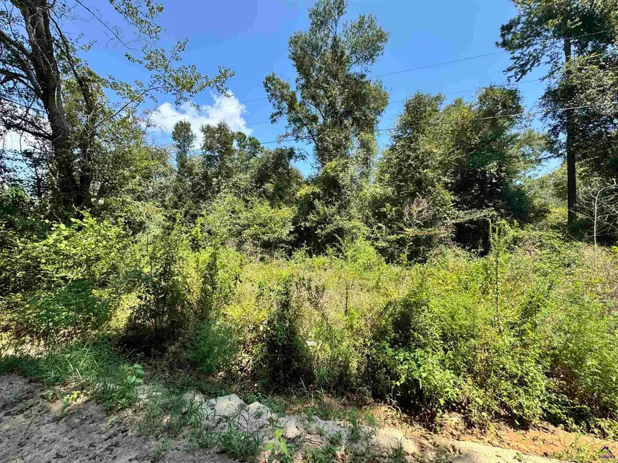 000 Shady Lane Road, Rebecca, GA 31783 - #2