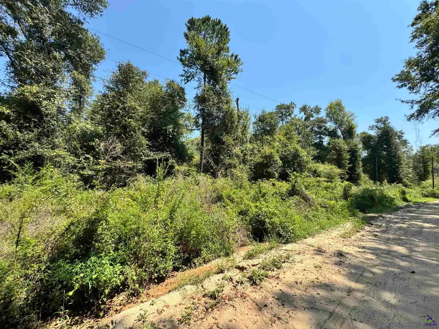 000 Shady Lane Road, Rebecca, GA 31783 - #3