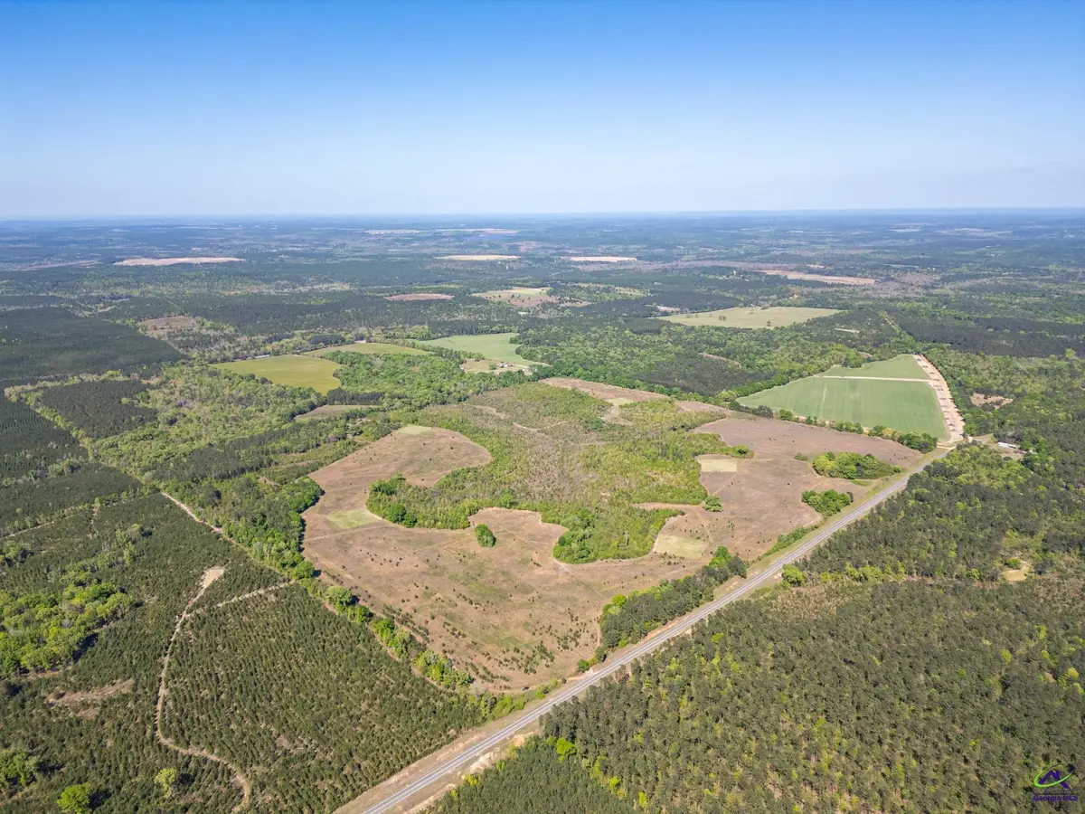 374 W 90 Highway, Rupert, GA 31058 - #1