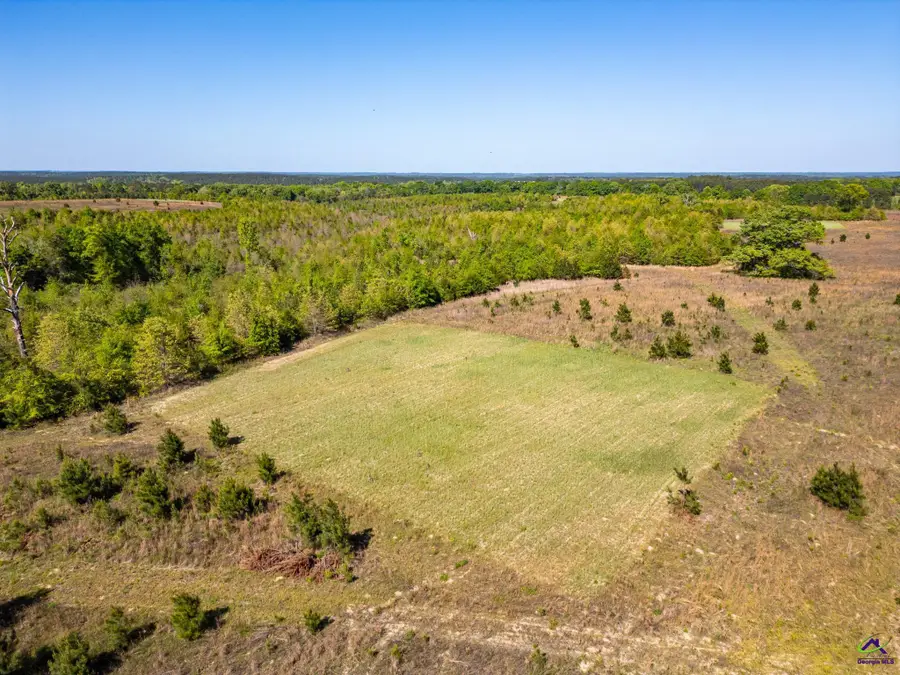 374 W 90 Highway, Rupert, GA 31058 - #3