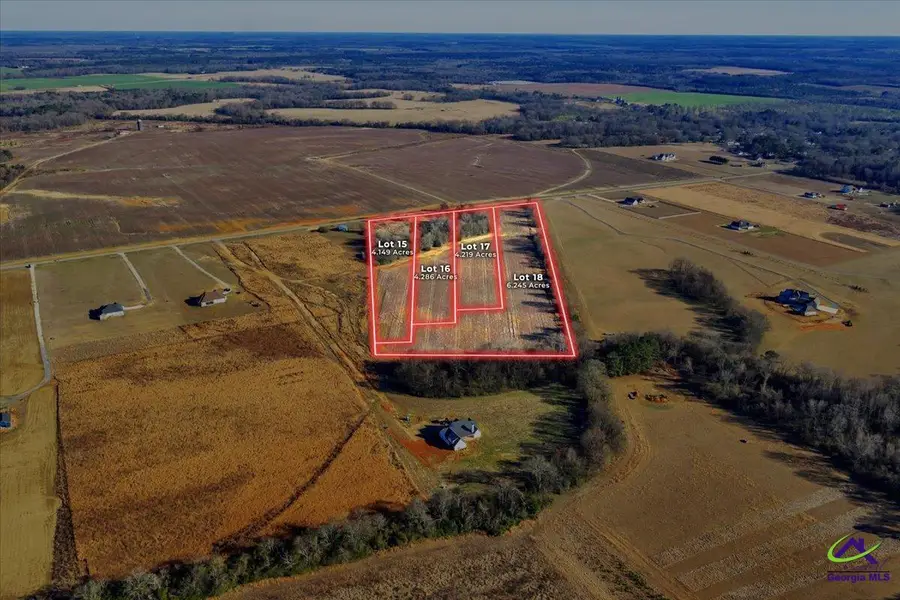 Lot 15 Elko (4.12+/- acres) Road, Elko, GA 31025 - #3