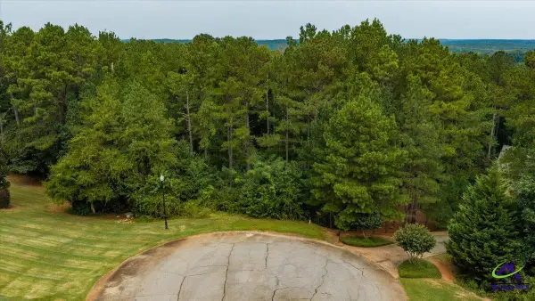114 Forest Overlook Drive, Forsyth, GA 31029