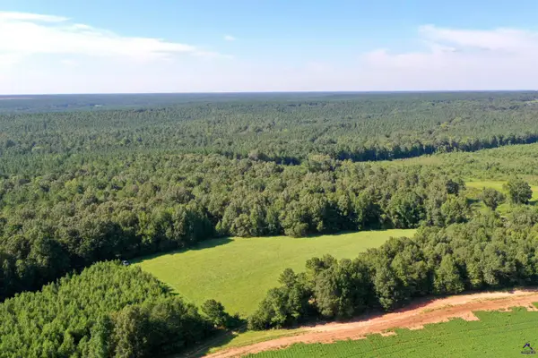 2020 Horseshoe Bend Road, Montezuma, GA 31063