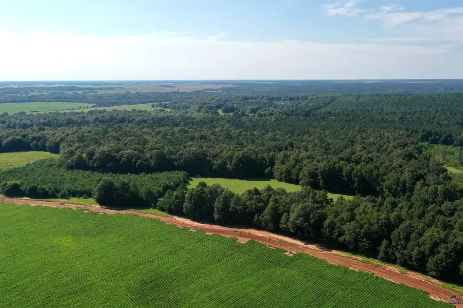 2020 Horseshoe Bend Road, Montezuma, GA 31063 - #2