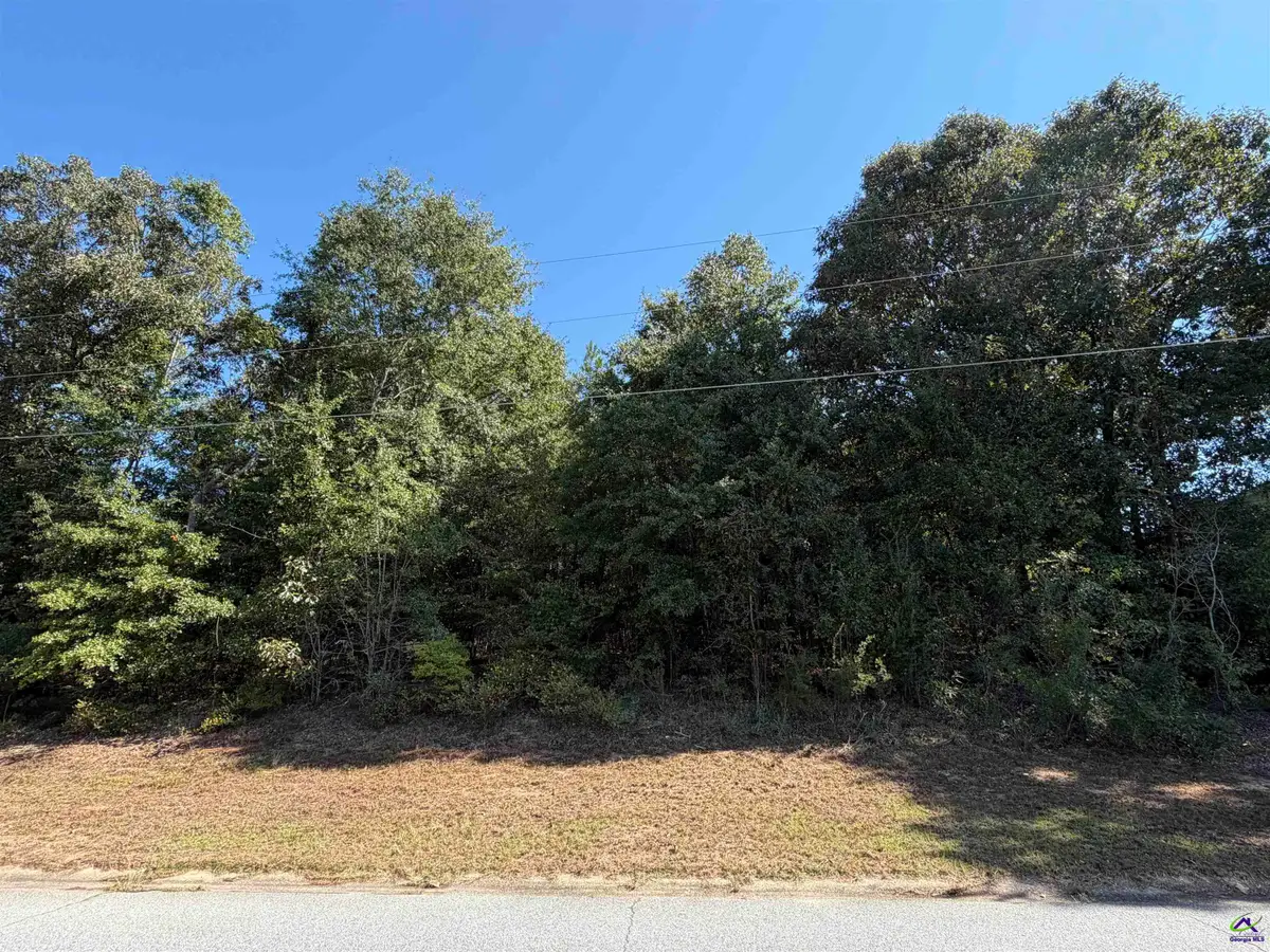 100 Dogwood Glen Drive, Centerville, GA 31028 - #1