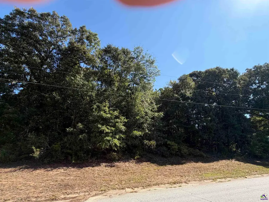 100 Dogwood Glen Drive, Centerville, GA 31028 - #2
