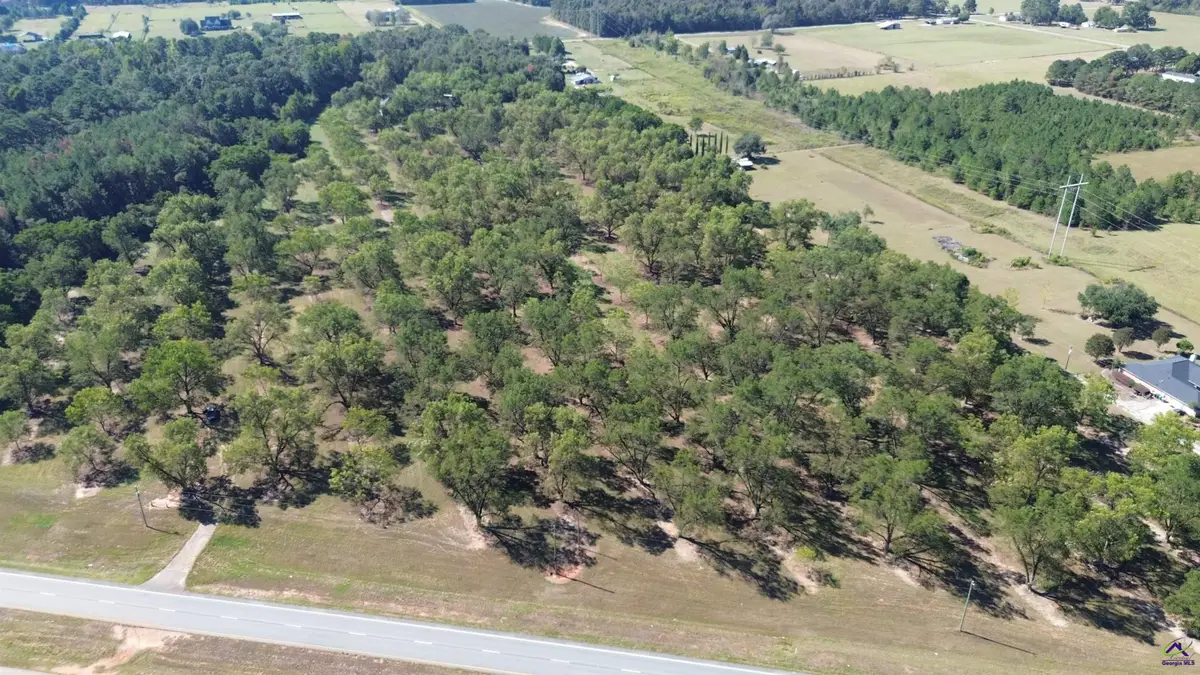 Lot 3 S Hwy 341, Hawkinsville, GA 31036 - #1