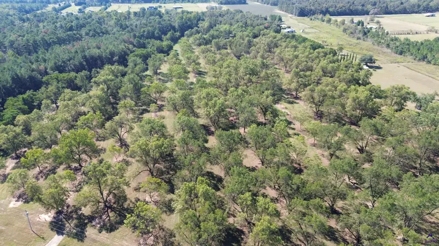 Lot 3 S Hwy 341, Hawkinsville, GA 31036 - #2