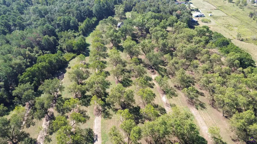 Lot 3 S Hwy 341, Hawkinsville, GA 31036 - #3