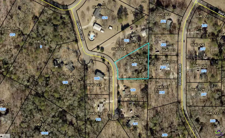 107 Gassett Court, Byron, GA 31008 - #3
