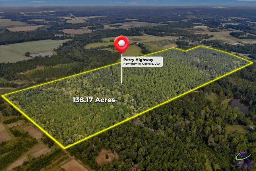 555 Perry Hwy, Hawkinsville, GA 31036 - #2