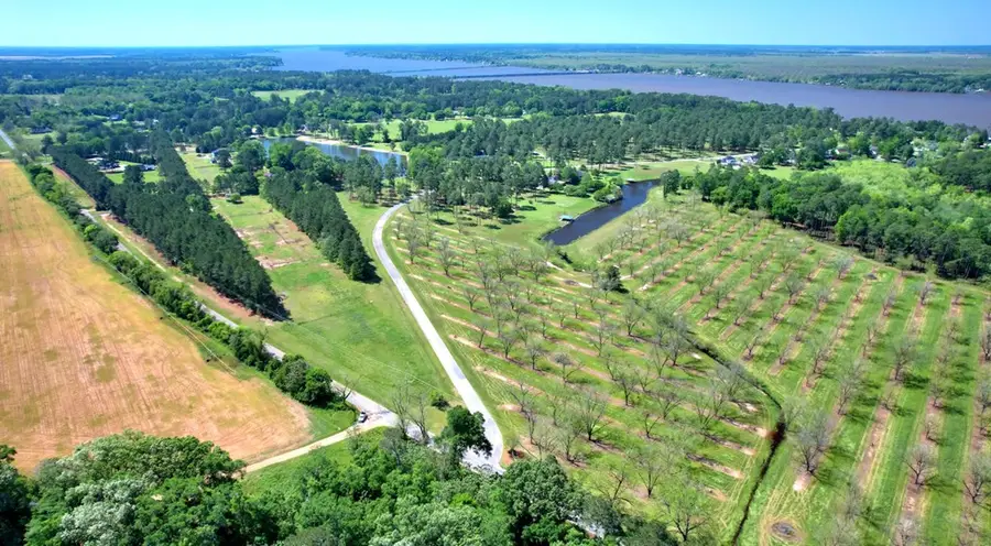 Lot # 17 Cannon Branch, Cordele, GA 31015 - Image #3