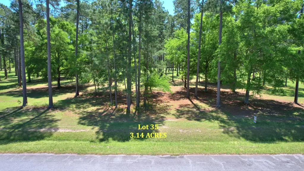 Lot #35 Cannon Branch, Cordele, GA 31015 - Image #1
