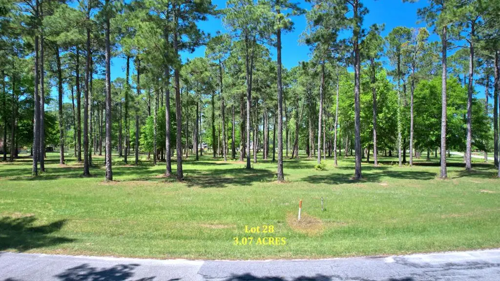 Lot # 28 Cannon Branch, Cordele, GA 31015 - Image #1