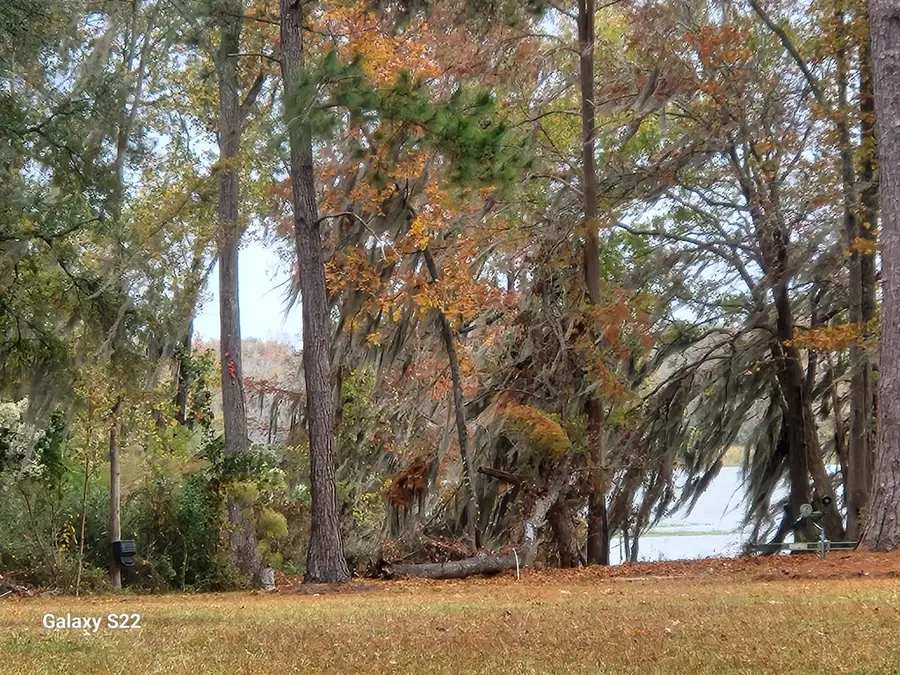 1522 Grand Cypress, Albany, GA 31701 - #3