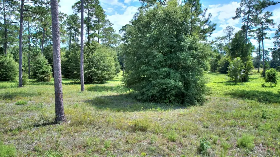 lot 46 Blk A - Swann Dr, Cordele, GA 31015 - Image #2