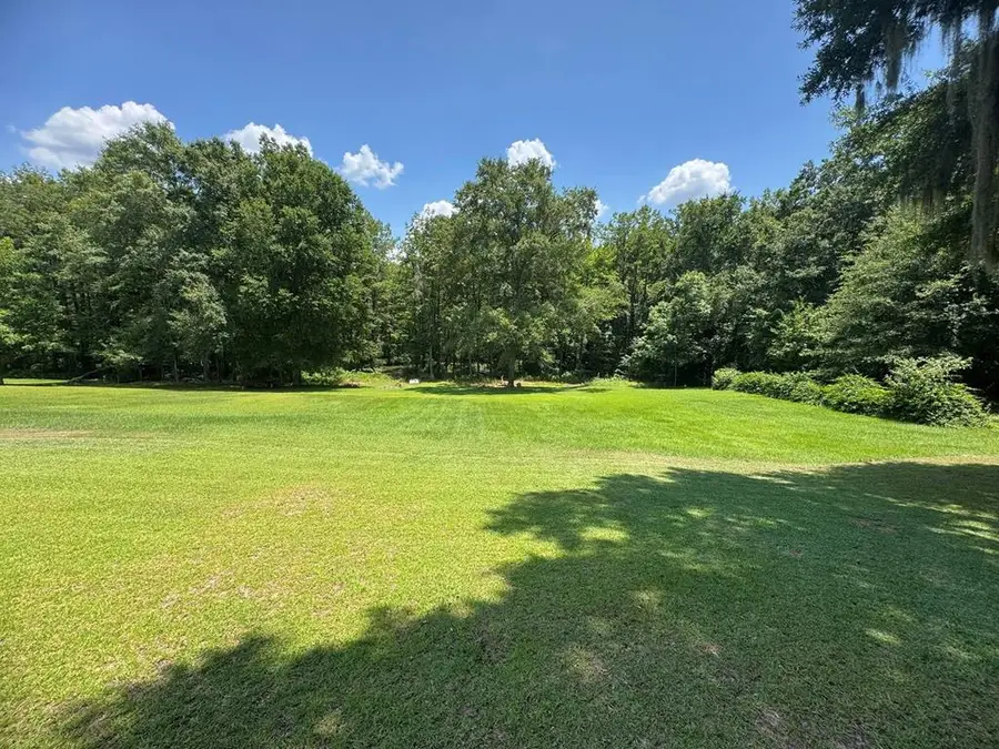 0 Lot #3 & Part Lot#4, Cobb, GA 31735 - Image #2