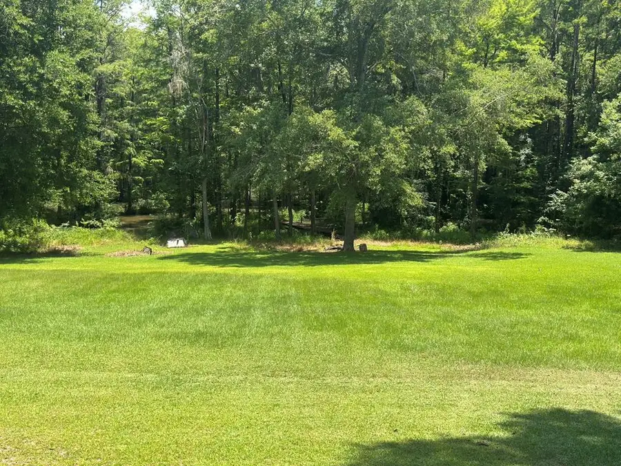 0 Lot #3 & Part Lot#4, Cobb, GA 31735 - Image #3