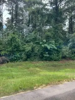 TBD N Spring Creek Circle, Cobb, GA 31735 - Image #1