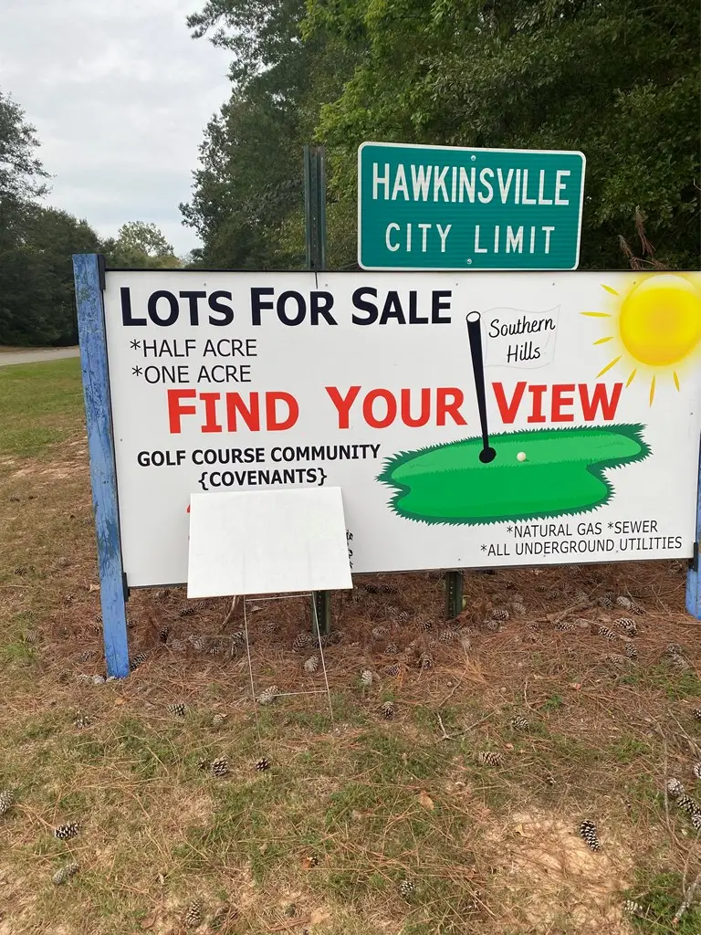 64 River Ridge, Hawkinsville, GA 31036 - Image #2