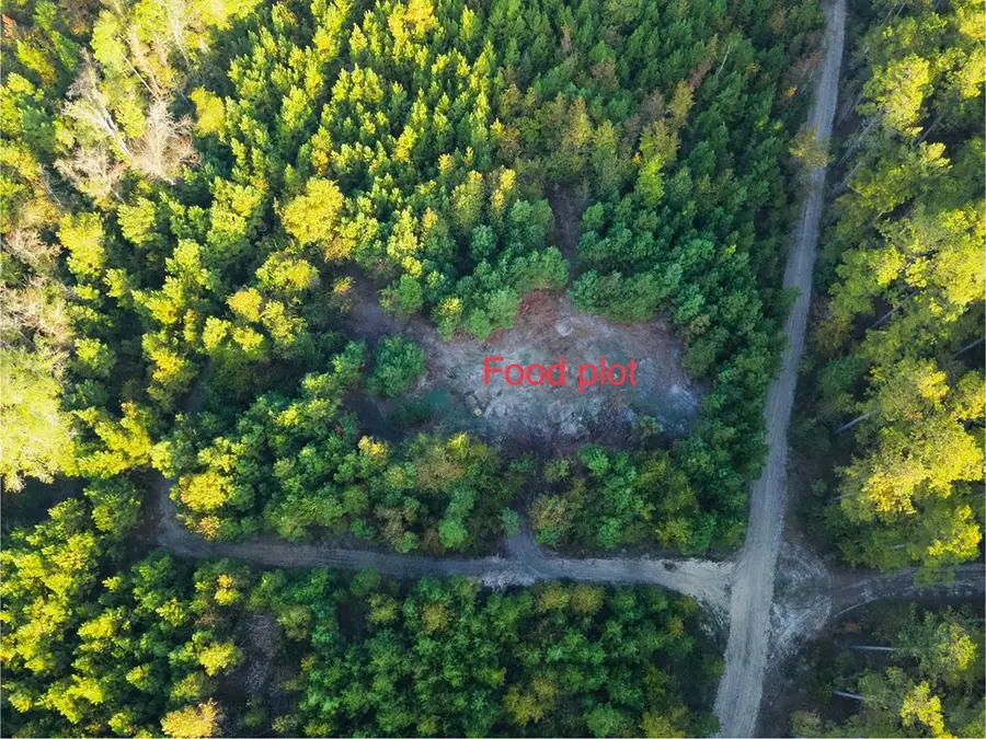 644 Ash-harrel Loop, Abbeville, GA 31001 - Image #3