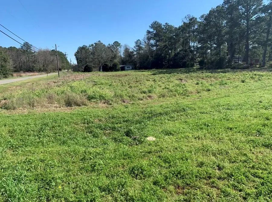 0 S 300 Hwy, Warwick, GA 31796 - Image #3