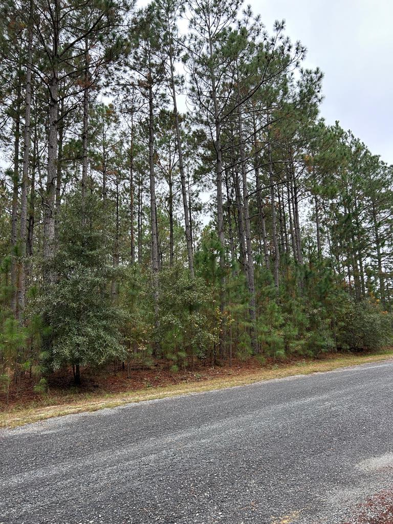 Lot 19 Whispering Pines Dr, Rochelle, GA 31079 - Image #1