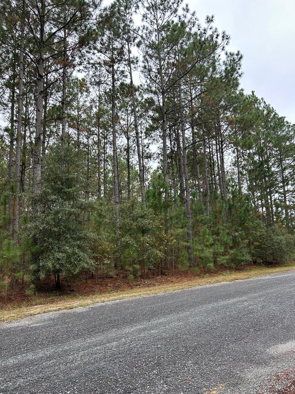 Lot 19 Whispering Pines Dr, Rochelle, GA 31079