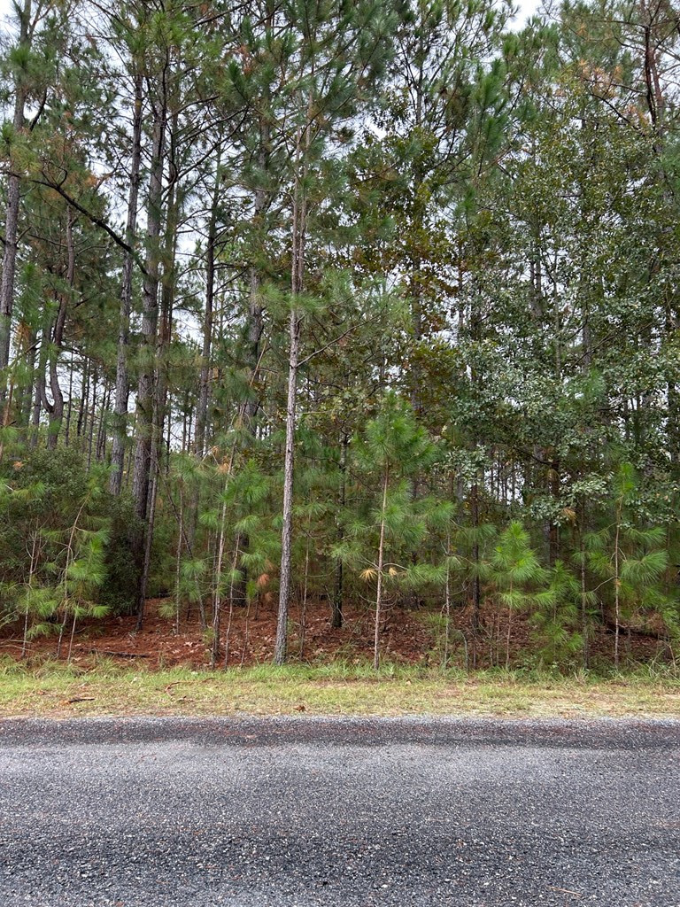 Lot 19 Whispering Pines Dr, Rochelle, GA 31079 - Image #2