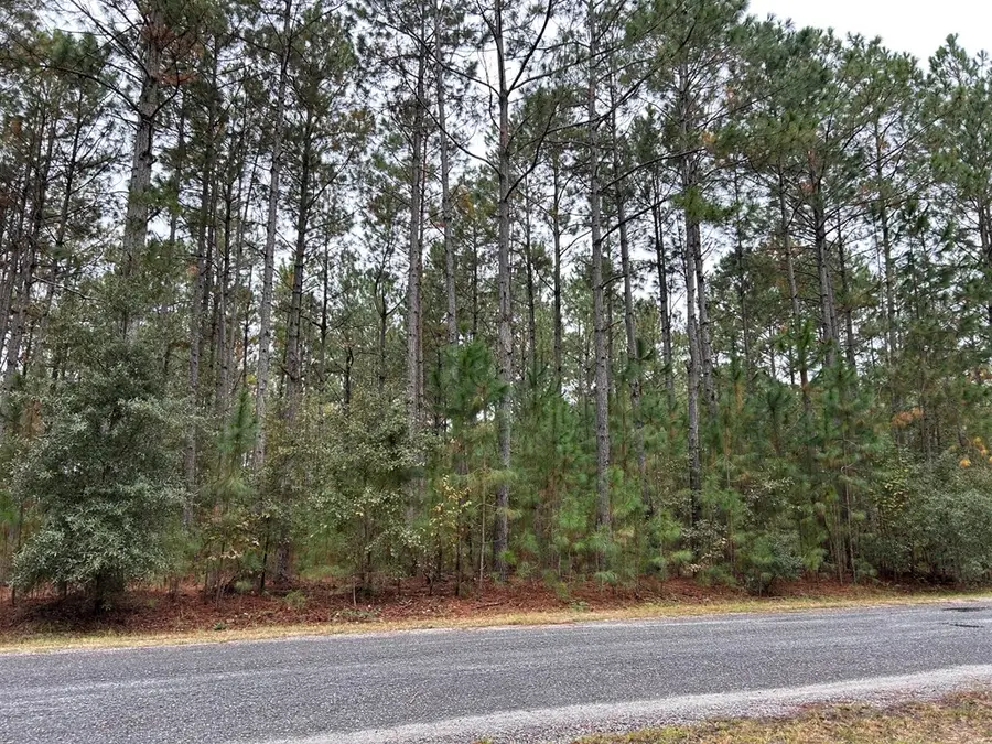 Lot 19 Whispering Pines Dr, Rochelle, GA 31079 - Image #3
