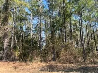241 Valhalla Rd. Lot 1, Cordele, GA 31015