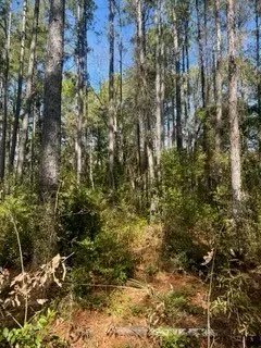 241 Valhalla Rd. Lot 1, Cordele, GA 31015 - #3