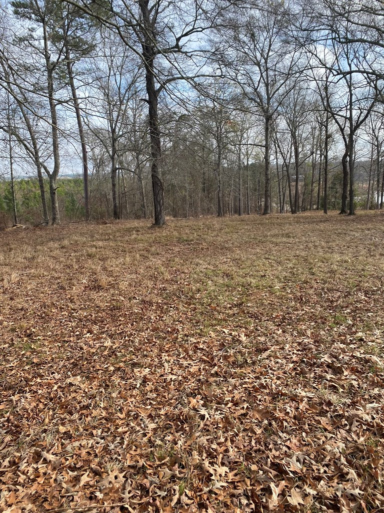 1 Crabapple Drive, Hawkinsville, GA 31036 - Image #3