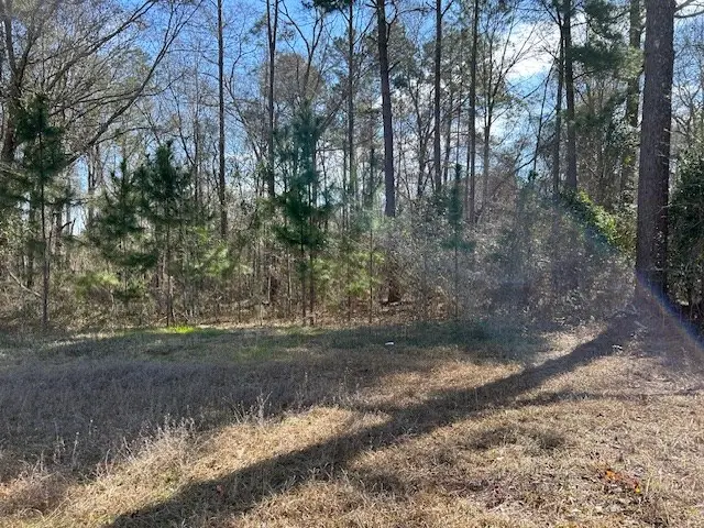 580 Main St West, Abbeville, GA 31001 - Image #2