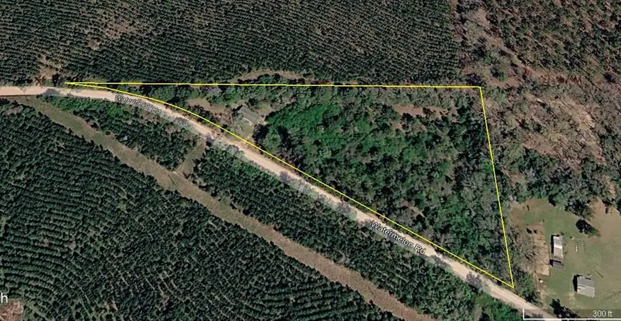 219 Watermelon Rd, Andersonville, GA 31711 - #2